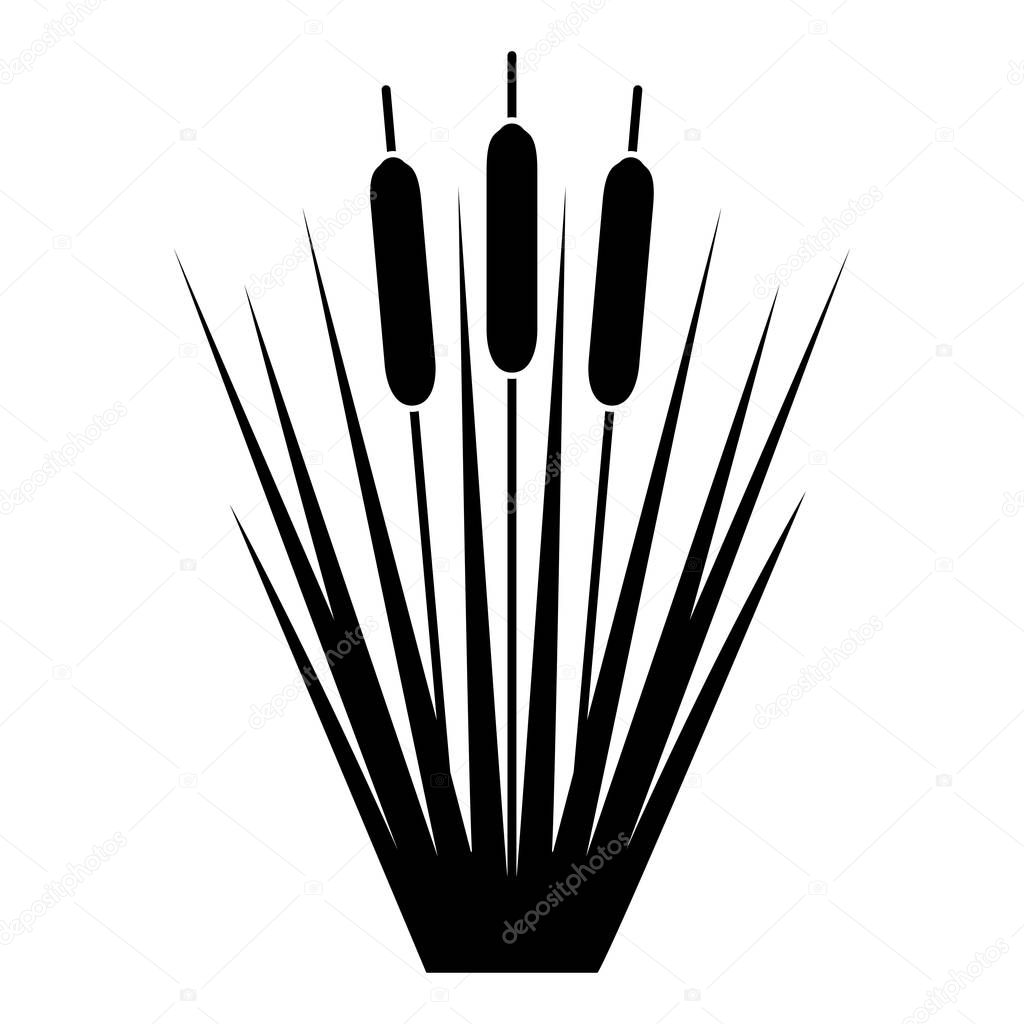 Reed Bulrush Reeds Club-rush ling Cane rush icon black color vector illustration flat style image