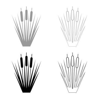 Reed Bulrush Reeds Club-rush ling Baston acele simgesi siyah gri renk vektör illüstrasyon düz stil basit görüntü seti