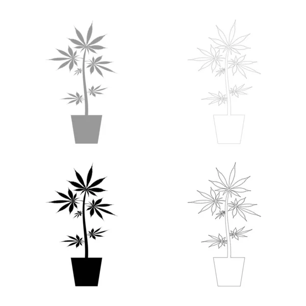 Maceta Marihuana Cannabic Maceta Icono Cáñamo Conjunto Negro Gris Vector — Archivo Imágenes Vectoriales