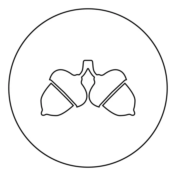 원 라운드 윤곽 검은 색 벡터 일러스트 플랫 스타일 이미지에 두 개의 도토리 아이콘 — 스톡 벡터