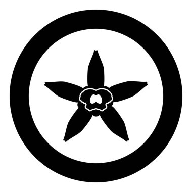 Daire yuvarlak siyah renk vektör illüstrasyon düz stil görüntü vanilya çiçek simgesi