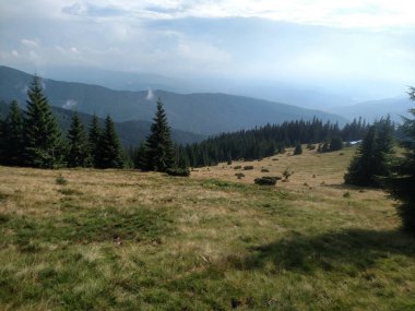 Ladin Meadaw Dağlarda Dik yamacı