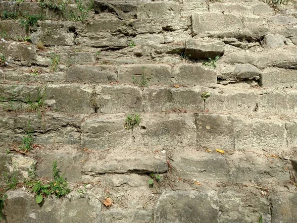 Stone bricks similar to pyramid blocks for background Wall with plants — Stock Photo, Image