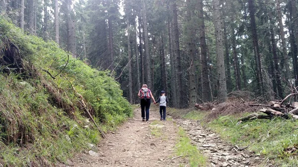 Мать и сын поднимаются по горной дороге, держа за руку женщину с рюкзаком и ребенком, идущих в лесу — стоковое фото