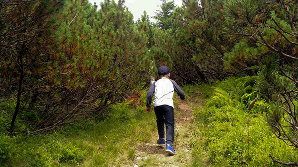 Boy climbs up a mountain trail among juniper trees Steep slope — Stock Photo, Image
