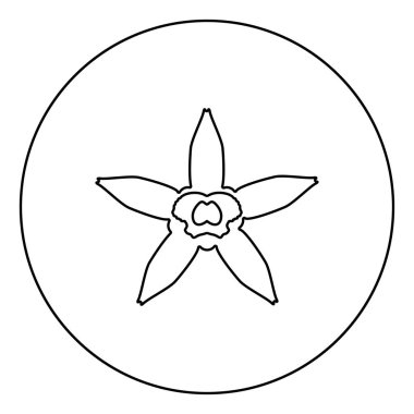Daire yuvarlak anahat siyah renk vektör illüstrasyon düz stil görüntü vanilya çiçek simgesi