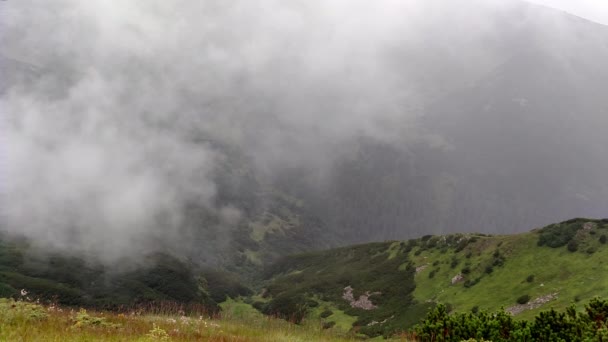 Movimiento de nubes en la lluvia Cordilleras en clima nublado cerca del lago — Vídeo de stock