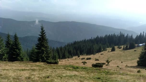 Spruce montanhas e céu Ambiente em dia ensolarado atura nos Cárpatos paisagem cor verde — Vídeo de Stock