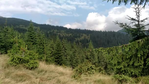 Lento movimento de nuvens Spruce montanhas e céu Ambiente em dia ensolarado atura nos Cárpatos paisagem cor verde — Vídeo de Stock