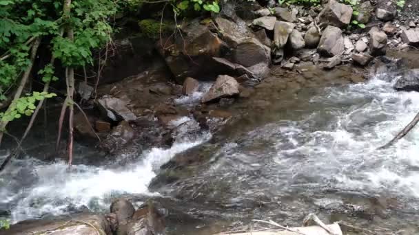 Rivière de montagne coulant près de la forêt verte Voyage dans les Carpates d'Ukraine Ruisseau fort d'une rivière de montagne — Video