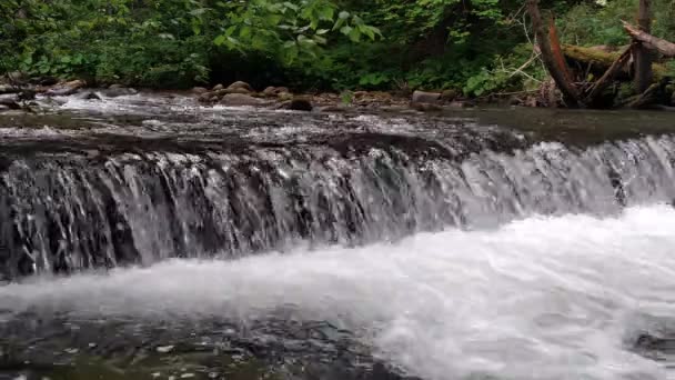 Wide waterfall on a mountain river in dark summer day Foamed water Falling waterfall — Stock Video