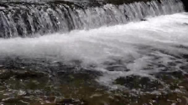 Amplia cascada en un río de montaña en un oscuro día de verano Agua espumosa Cascada descendente — Vídeo de stock