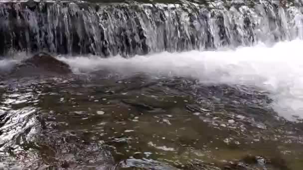 Karanlık yaz günü bir dağ nehri üzerinde geniş şelale Köpüklü su Şelale düşen — Stok video