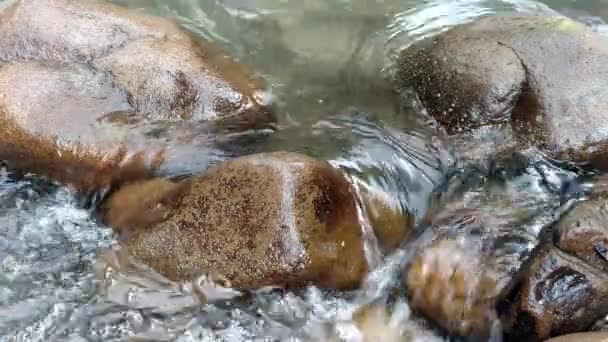 Água que flui sobre pedras Pedras lavadas por fluidos fluviais Cascata de água incrível sobre rochas naturais Movimento suave — Vídeo de Stock