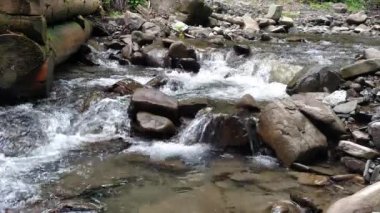 Yeşil ormanyakınında akan dağ nehri Ukrayna Karpatlar seyahat bir dağ nehrinin güçlü akışı