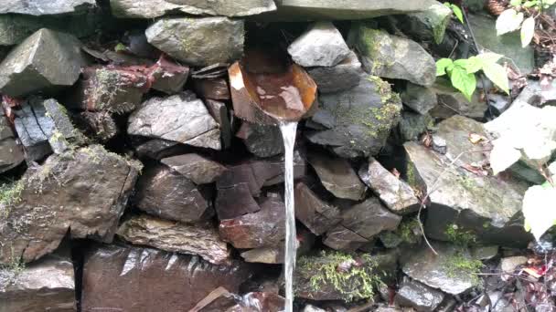 Eau de source s'écoulant de la montagne le long d'une gouttière en bois Source liquide fraîche de canal en bois — Video