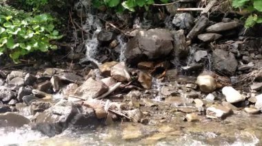 Şelale su dağ orman manzara akan Hızlı kayalar kayalar ve yeşil ağaç kayın şelale ve akan su arasında sıvı akan