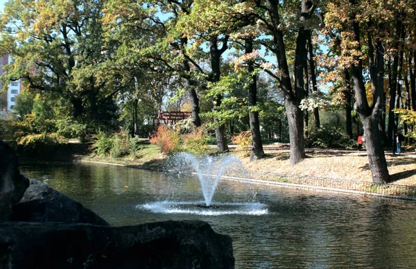 湖中央的小喷泉 它在秋天的树木和湖泊的深色水的背景下看起来很好 创建日历的好照片 — 图库照片
