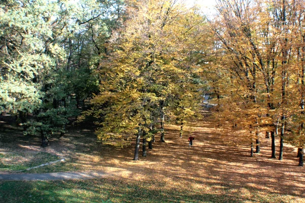 Park Utwór Granicy Latem Jesienią Jednej Strony Drzewa Jest Wciąż — Zdjęcie stockowe