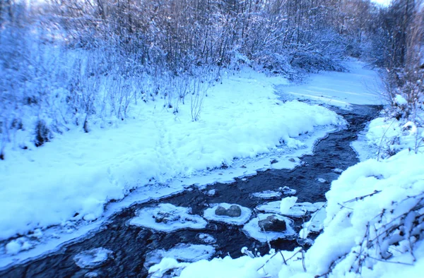 Las Piedras Están Rodeadas Hielo Nieve Las Piedras Grises Medio — Foto de Stock