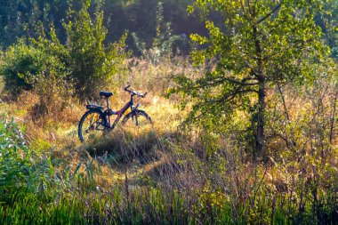 Göl üzerinde sonbahar manzarası. Ağaçlar, su, kayalıklar ve uzak bir yerde bir bisiklet..