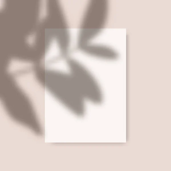 Hoja Papel Vertical Blanca Blanco 5X7 Pulgadas Con Superposición Sombra — Archivo Imágenes Vectoriales