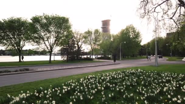 Ottawa Kanada Maja 2019 Canadian Tulip Festival — Wideo stockowe