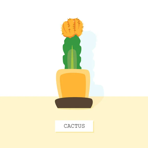 Aranyos Zöld Kaktusz Állva Egy Asztallap Elülső Kilátás Hely Szöveget — Stock Vector
