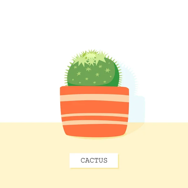 Lindo Cactus Verde Pie Sobre Una Mesa Vista Frontal Con — Archivo Imágenes Vectoriales