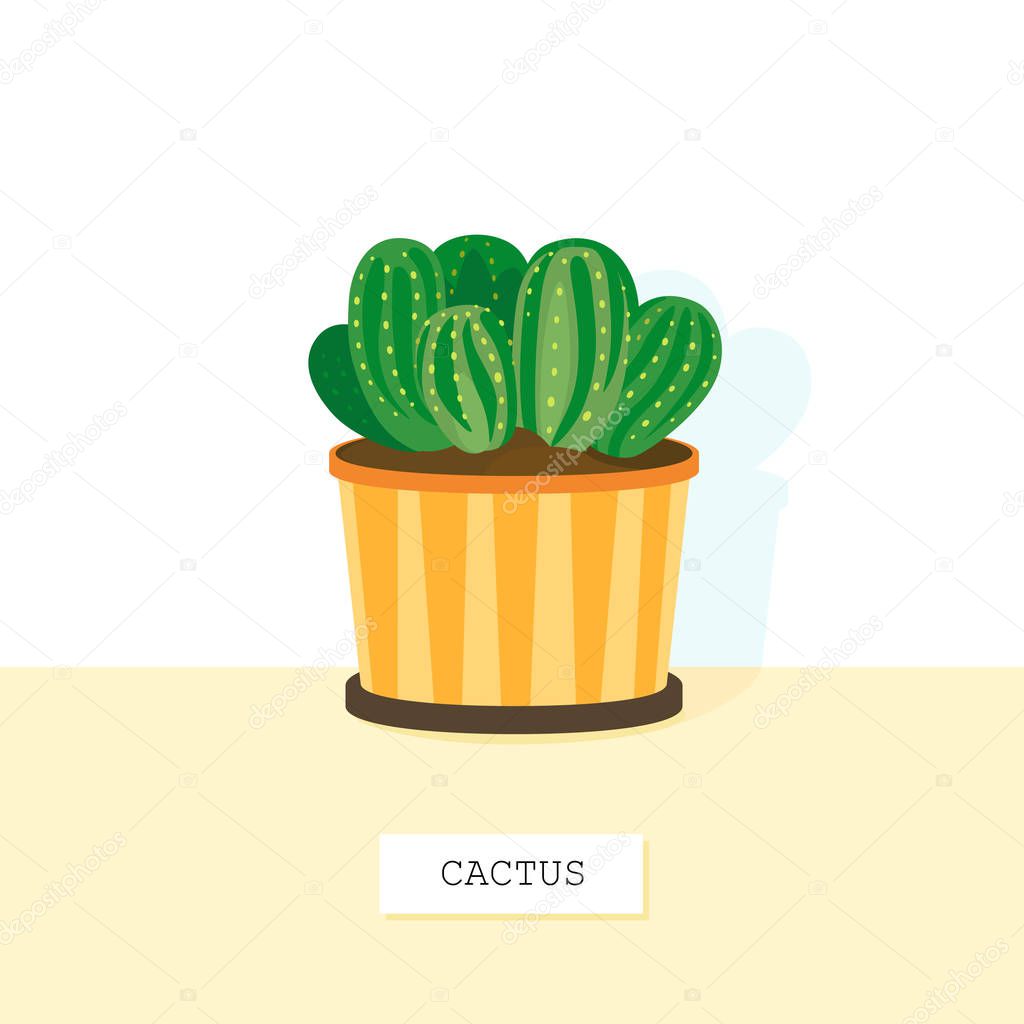 Cute cactus standing on a table top, front view with a space for a text. Home plant in pots. Flower icon in a flat style isolated on a white background. Cartoon decorative houseplant in vector