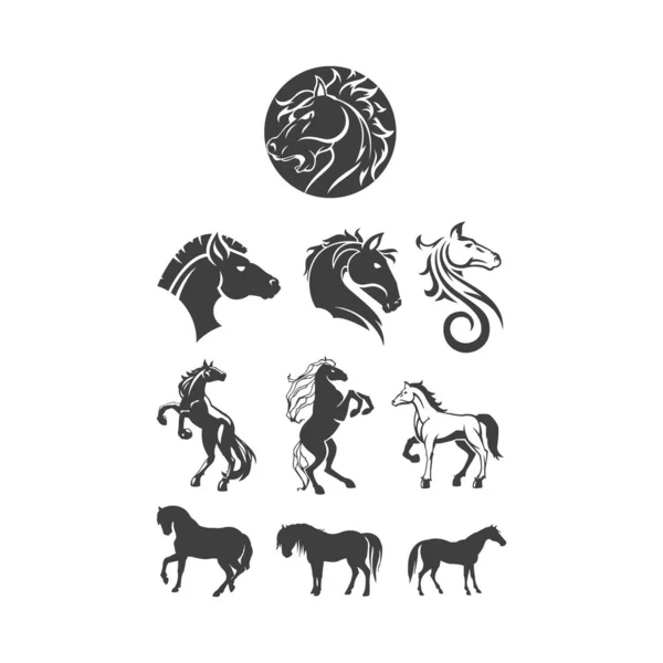 Conjunto Diseño Del Logotipo Del Caballo Vector — Archivo Imágenes Vectoriales