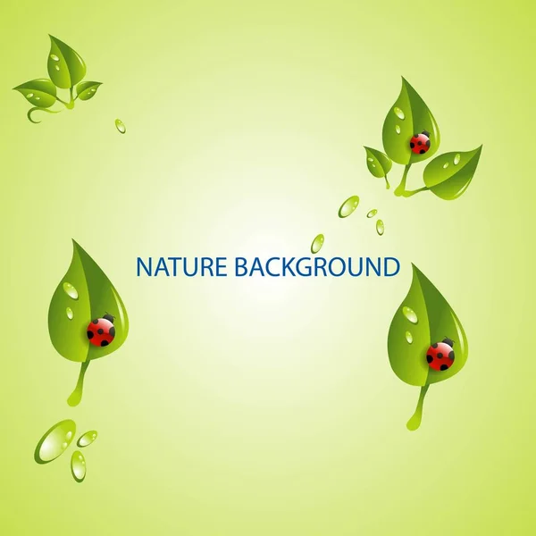 Naturaleza Fondo Logo Diseño Vector — Vector de stock