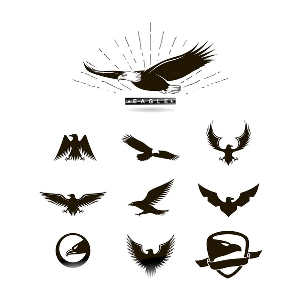 Eagle Set Logo Design Vektor — Stock vektor