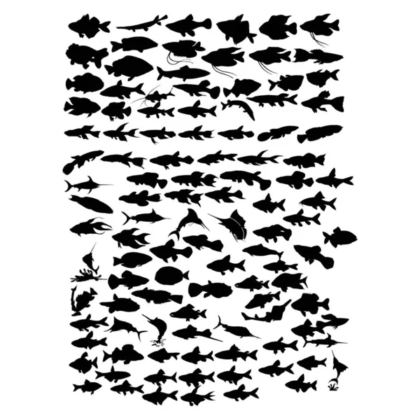 Set Von Fisch Logo Design Vektor — Stockvektor