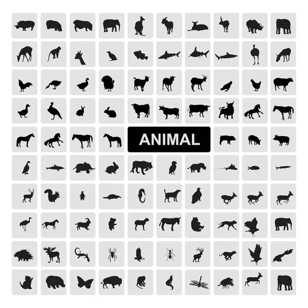 Conjunto Animales Vida Silvestre Negocio Logo Diseño Vector — Archivo Imágenes Vectoriales