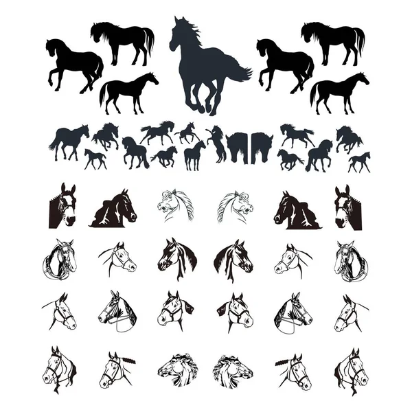 Set Bianco Nero Cavallo Logo Vettoriale Progettazione — Vettoriale Stock
