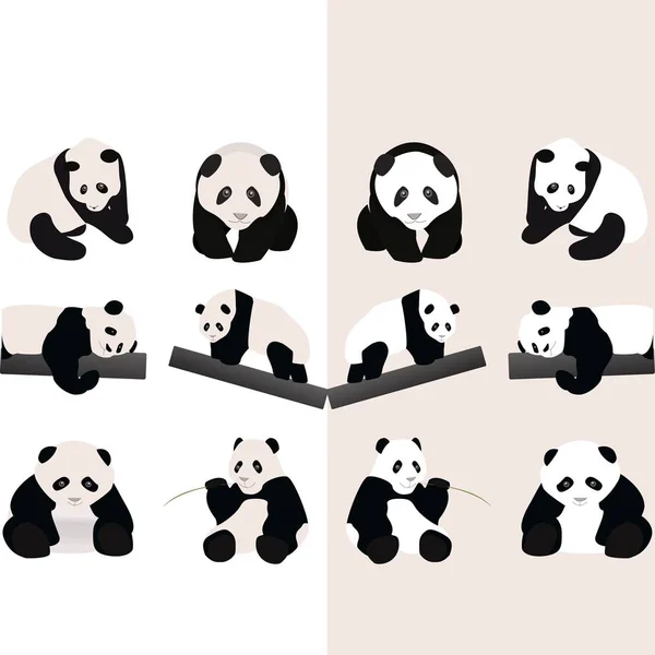 Set Carino Logo Panda Vettore Progettazione — Vettoriale Stock