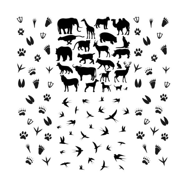 鳥の動物のロゴデザインベクトル — ストックベクタ