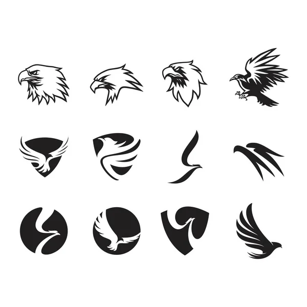 Conjunto Águia Logotipo Design Vetor — Vetor de Stock