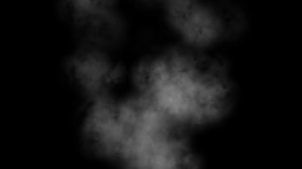 Abstrait Blanc Renard Fumée Brouillard Stock Vidéo — Video