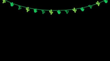  Element _ CactusFlag stok video görüntüleri