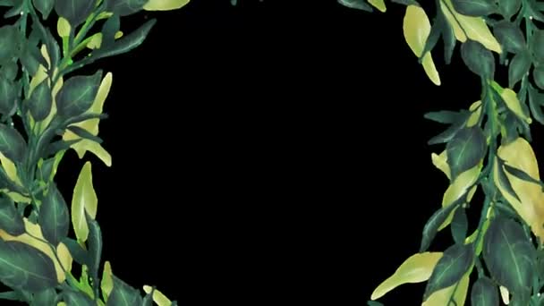 Garden Pack Free Stock Video Footage Template Background — Stock Video