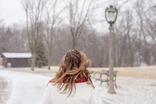 Dikiz Park Yürüyordunuz Kışın Rüzgar Büyülü Kar Düşen Üfleme Saçlı — Stok fotoğraf