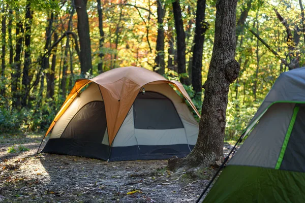 Herbstcamping Mit Zwei Zelten Auf Dem Zeltplatz Morgenlicht — Stockfoto
