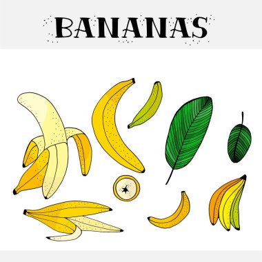 Muz doodle seamless modeli. 