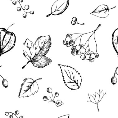  El çizilmiş desen arka plan yaprakları, düşen yaprakları, çilek, Sonbahar Tema. Tek renkli vektör çizimler kroki tarzı.