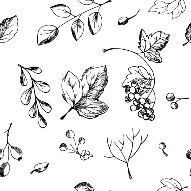  El çizilmiş desen arka plan yaprakları, düşen yaprakları, çilek, Sonbahar Tema. Tek renkli vektör çizimler kroki tarzı.