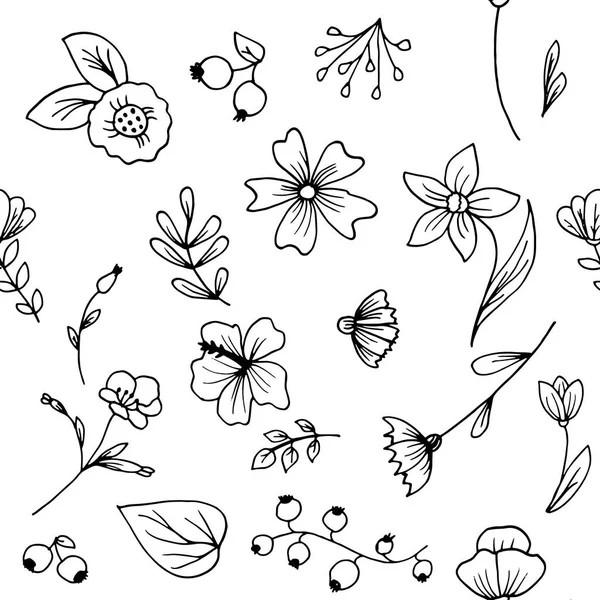 Gyógynövény Kézzel Rajzolt Mintás Háttérrel Különböző Növények Virágok Fekete Fehér — Stock Vector