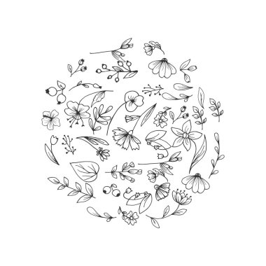 Çerçeve çiçek, daire şeklinde düzenlenmiştir. El çekilmiş çiçek, kabataslak çiçekler ve bitkiler, siyah ve beyaz, tek renkli. Vektör çizim. 