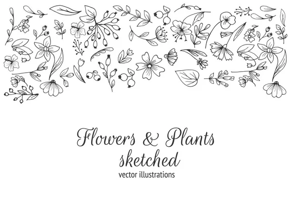 Quadro Composto Por Flores Desenhadas Mão Flores Plantas Esboçadas Preto —  Vetores de Stock